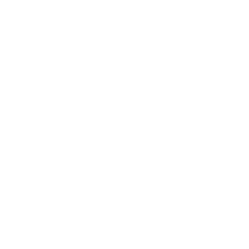 Magic Bridge auto